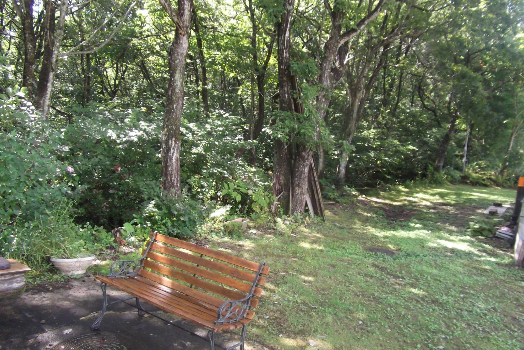 Pension Green Lake غوجو المظهر الخارجي الصورة