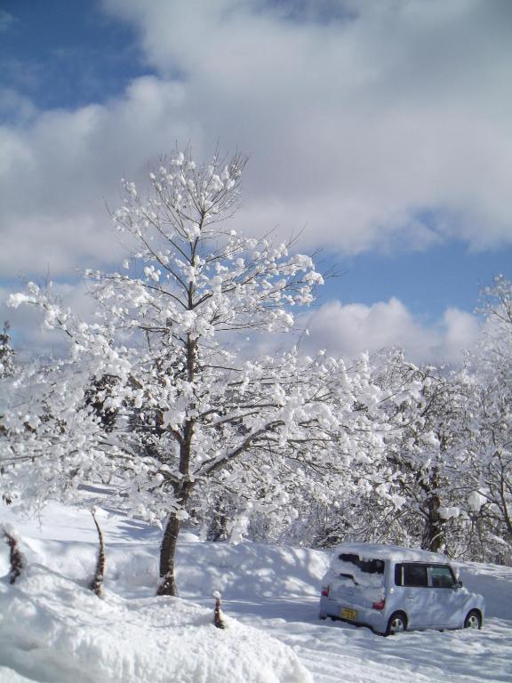 Pension Green Lake غوجو المظهر الخارجي الصورة